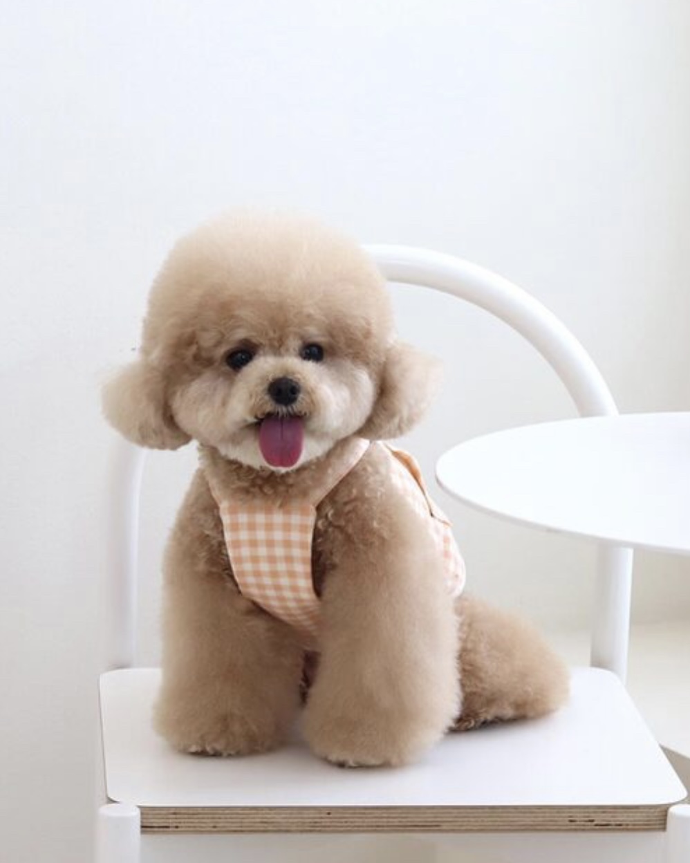 Together Check Crop Top Overall (Orange)