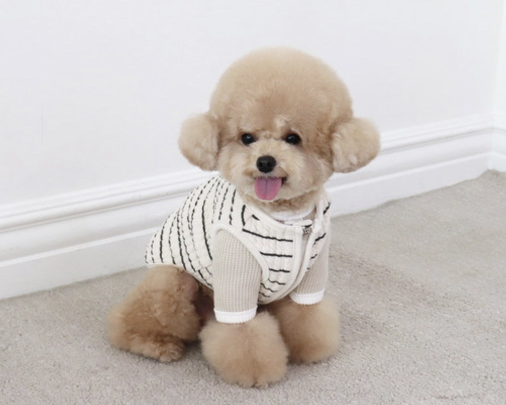 Chiot Bebe Cream Quilted Zip-Up Vest (Khaki)