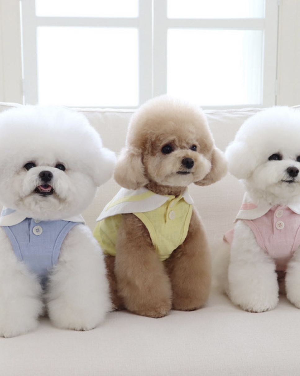 Pastel Linen Cape Top (Pink)