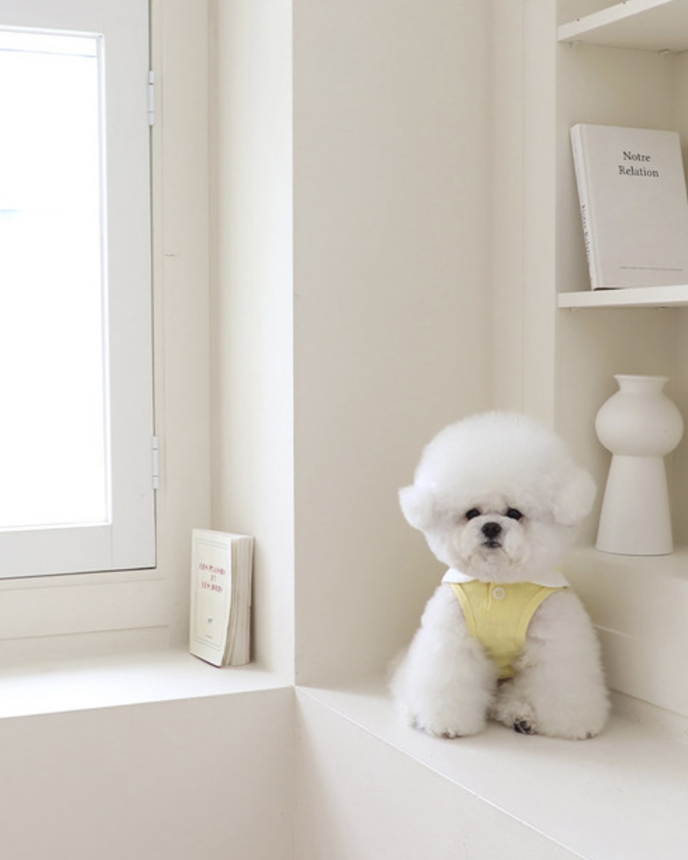 Pastel Linen Cape Top (Yellow)