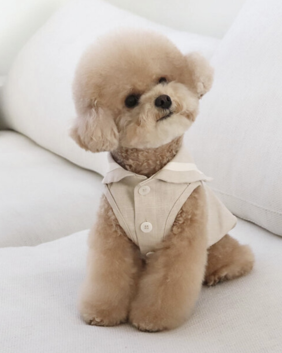 Pastel Linen Cape Top (Beige)