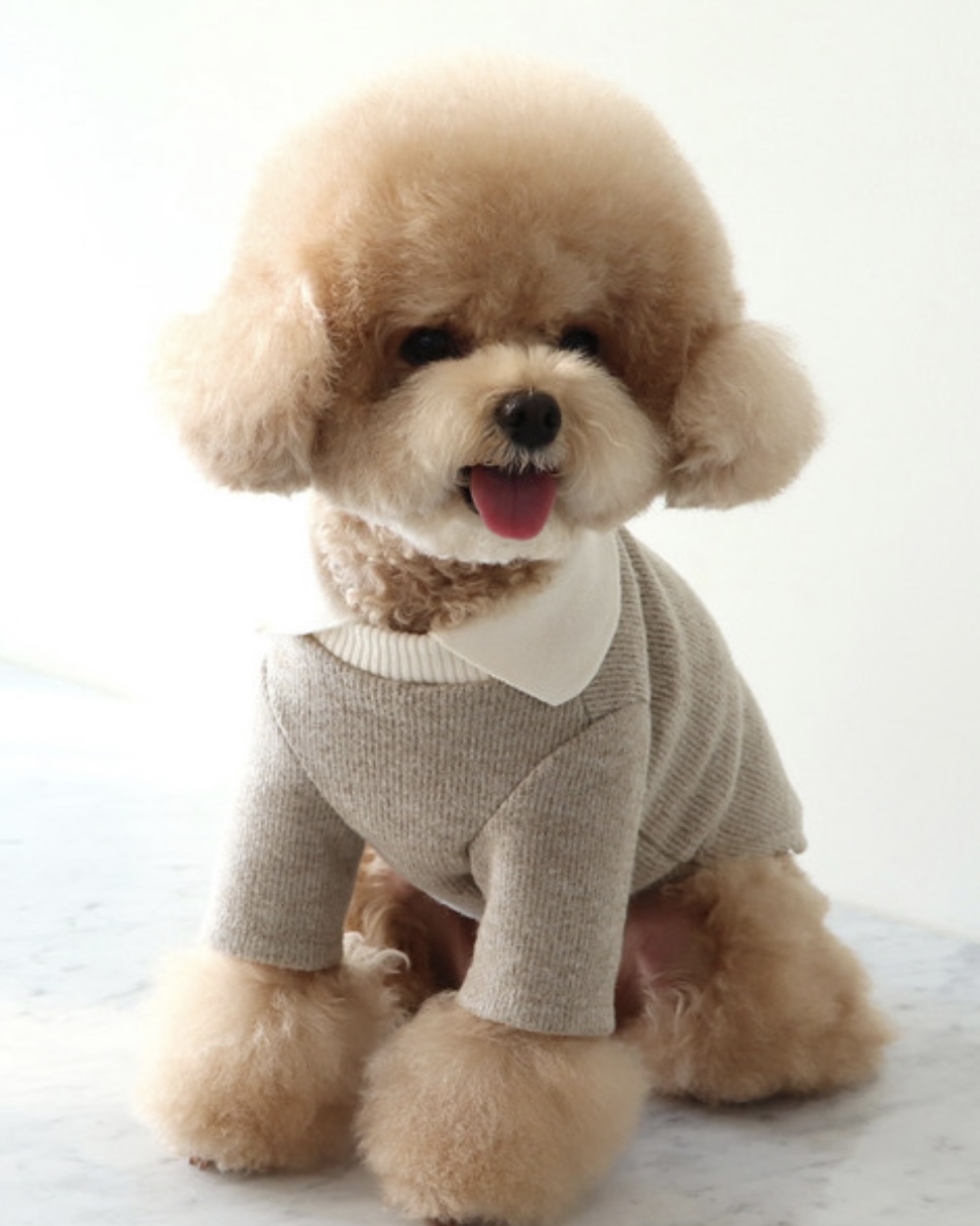 Chiot Blanc Knit Collar T-Shirt (Beige)