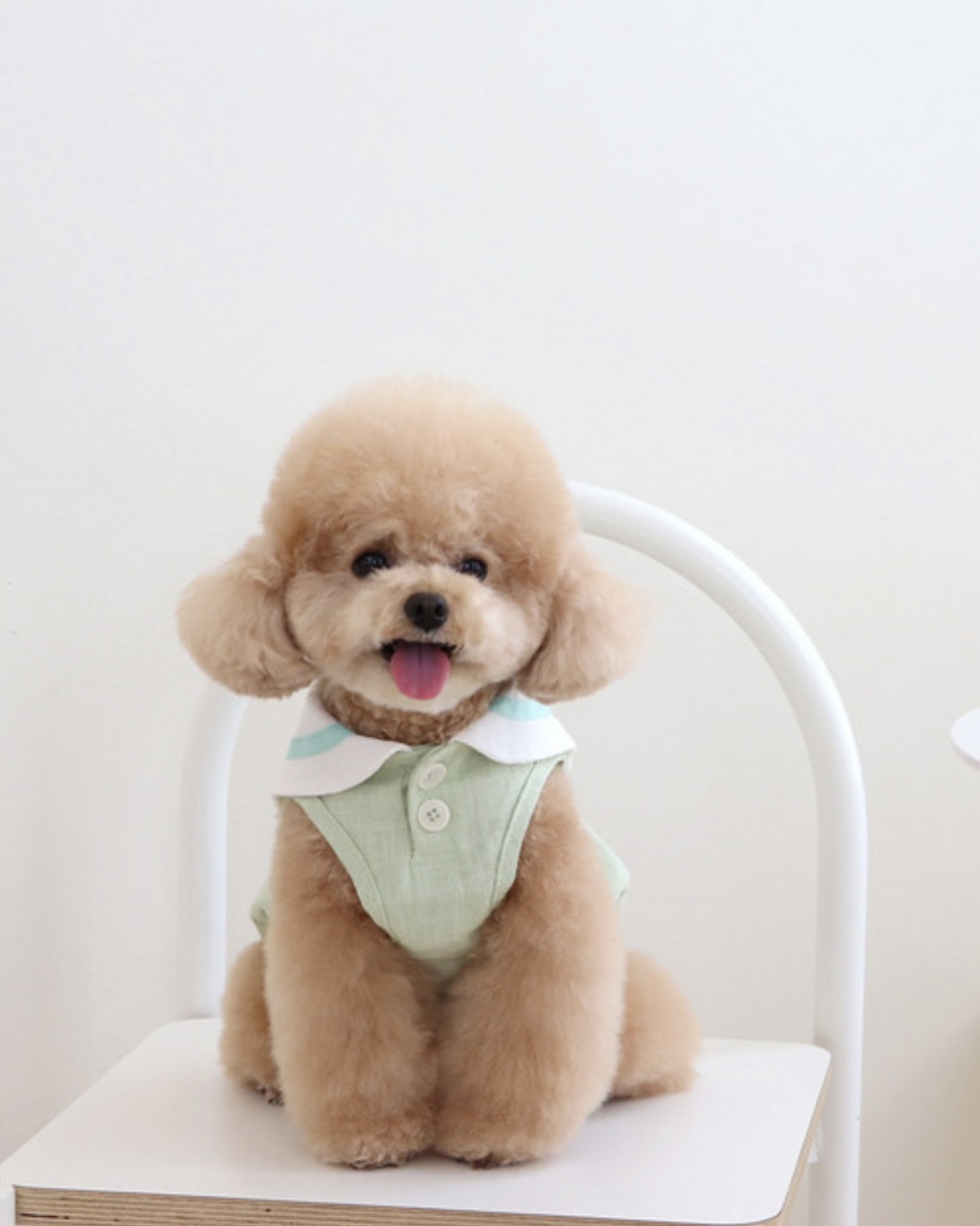 Pastel Linen Cape Top (Mint)