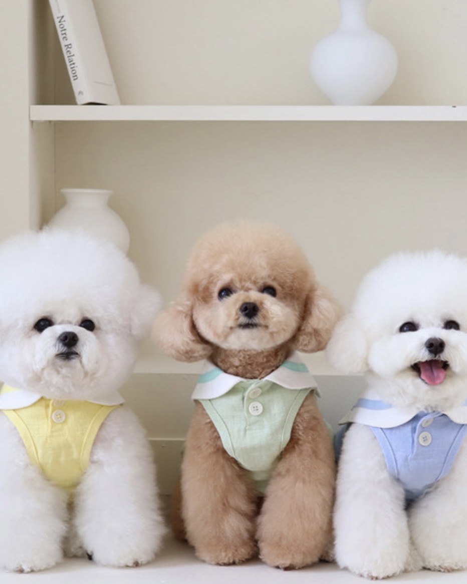 Pastel Linen Cape Top (Yellow)