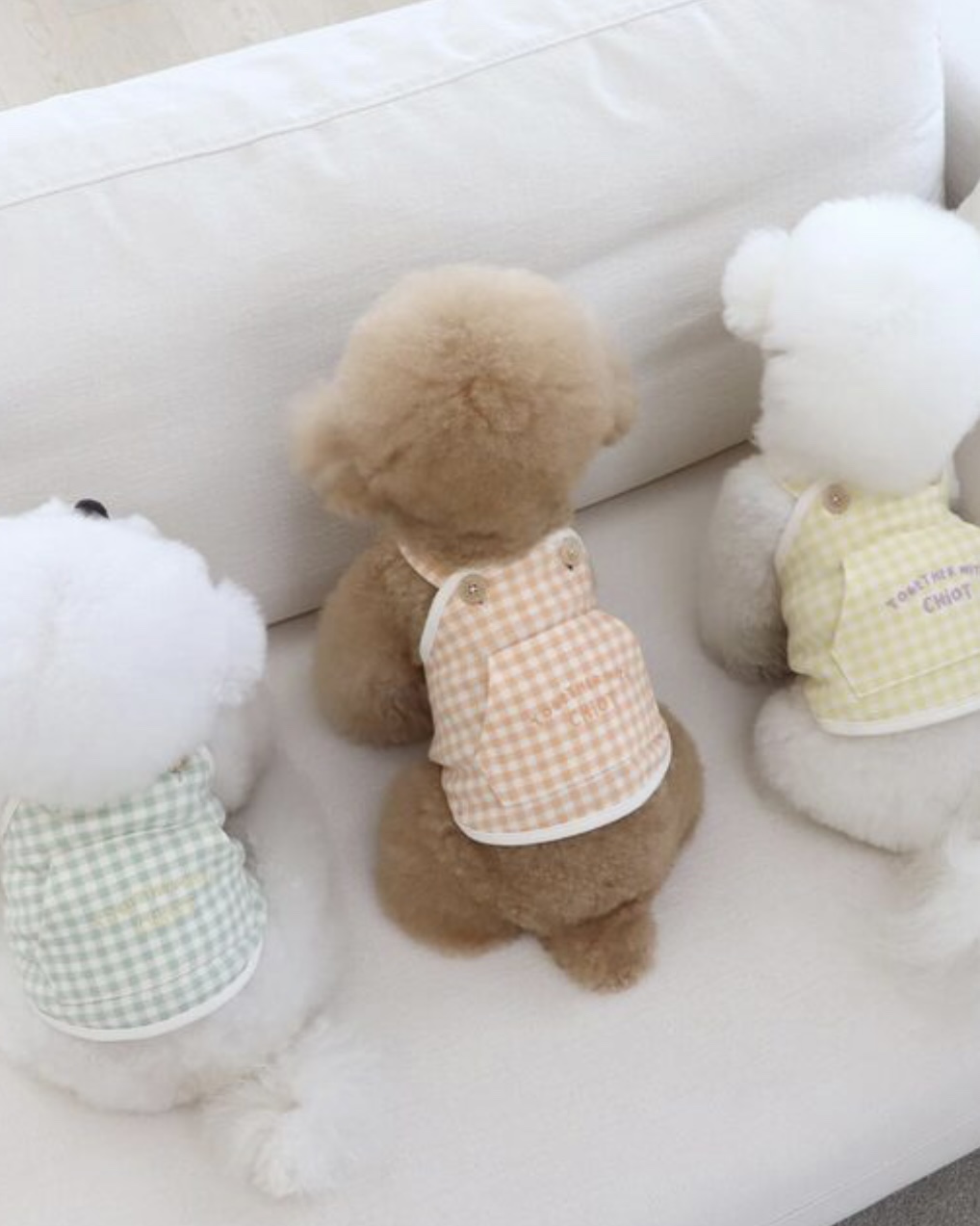 Together Check Crop Top Overall (Yellow)