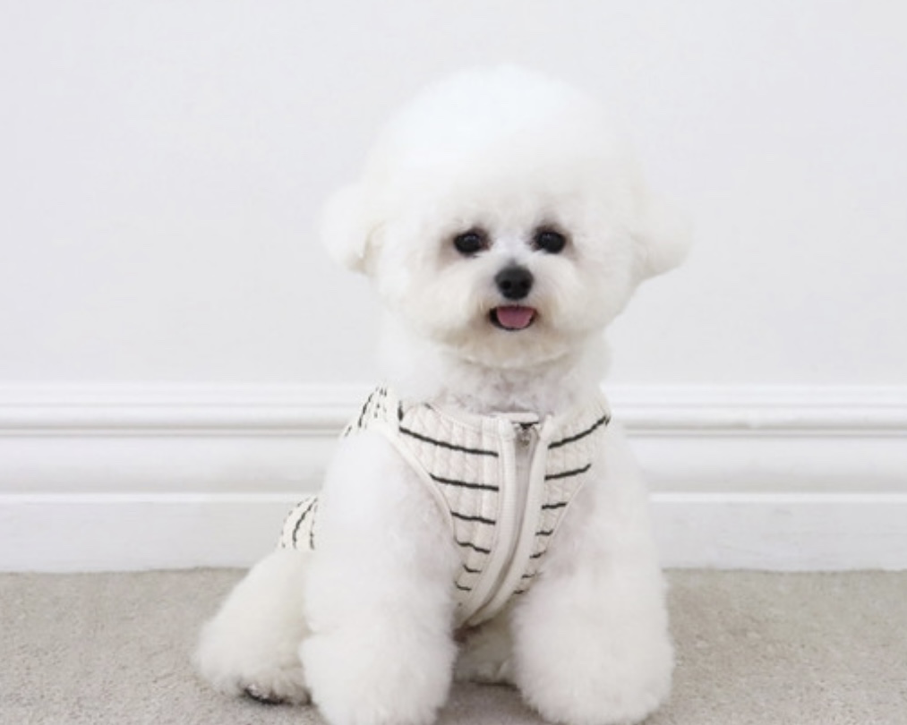 Chiot Bebe Cream Quilted Zip-Up Vest (Khaki)