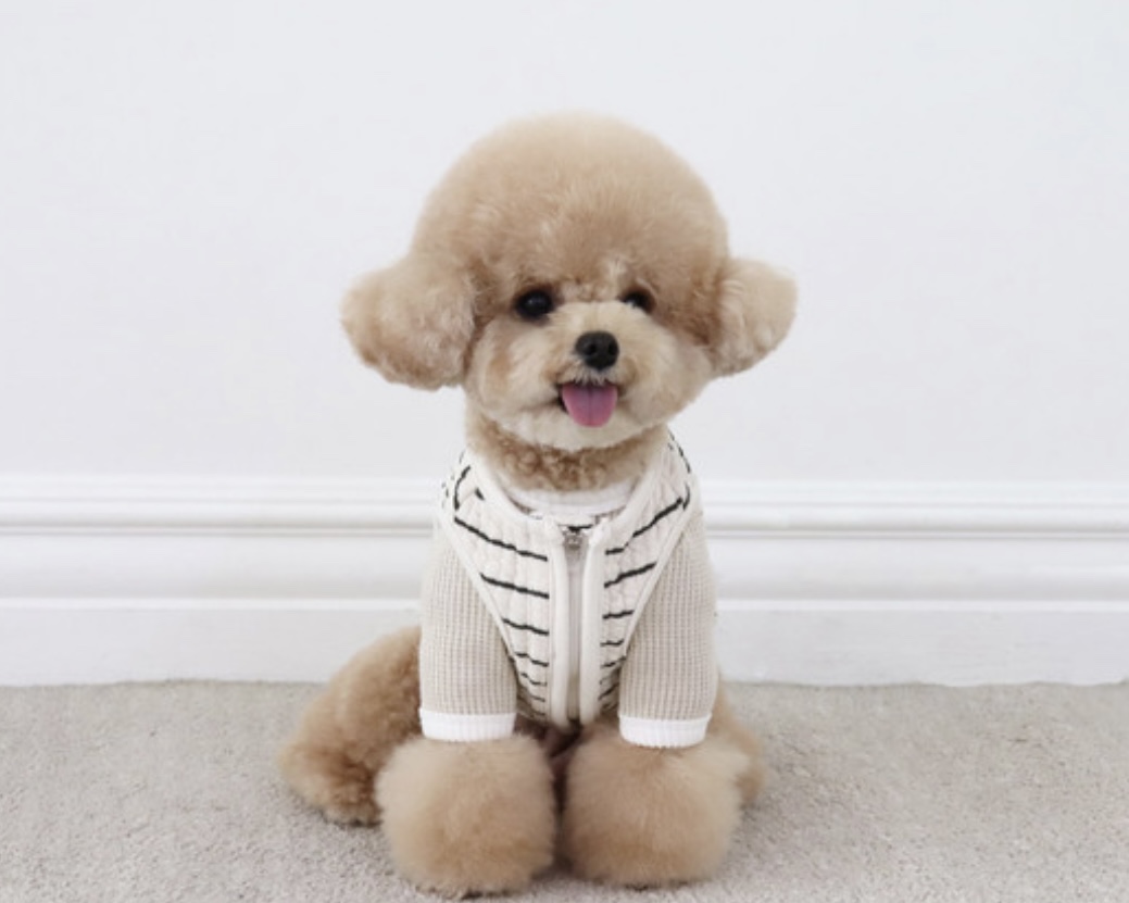 Chiot Bebe Cream Quilted Zip-Up Vest (Khaki)