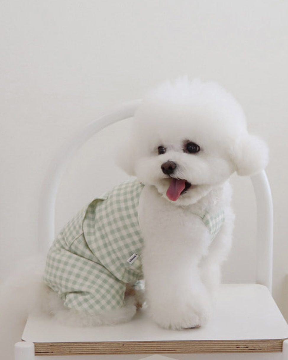 Chiot Together Check All in One Overall (Mint)