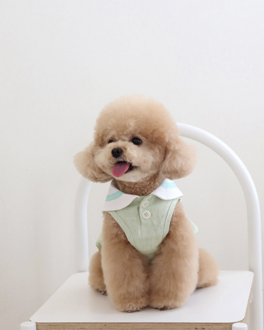 Pastel Linen Cape Top (Mint)