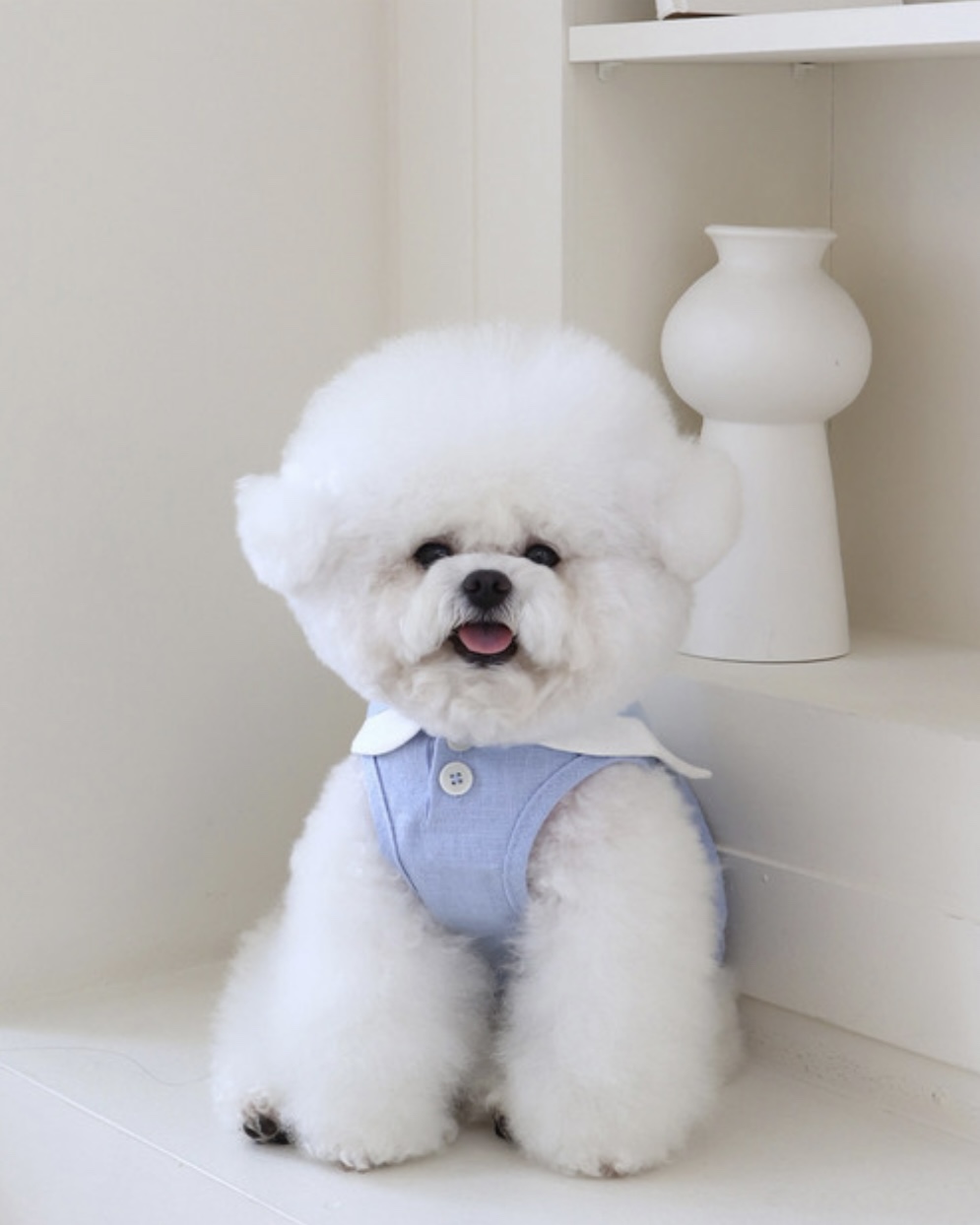 Pastel Linen Cape Top (Blue)