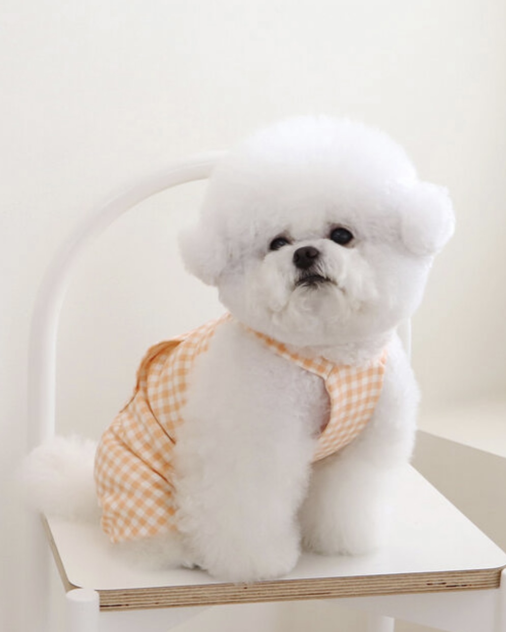 Chiot Together Check All in One Overall (Orange)