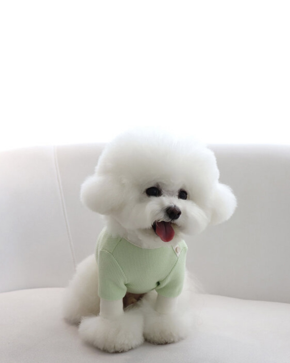 Sherbet Waffle T-Shirt (Milk Green)