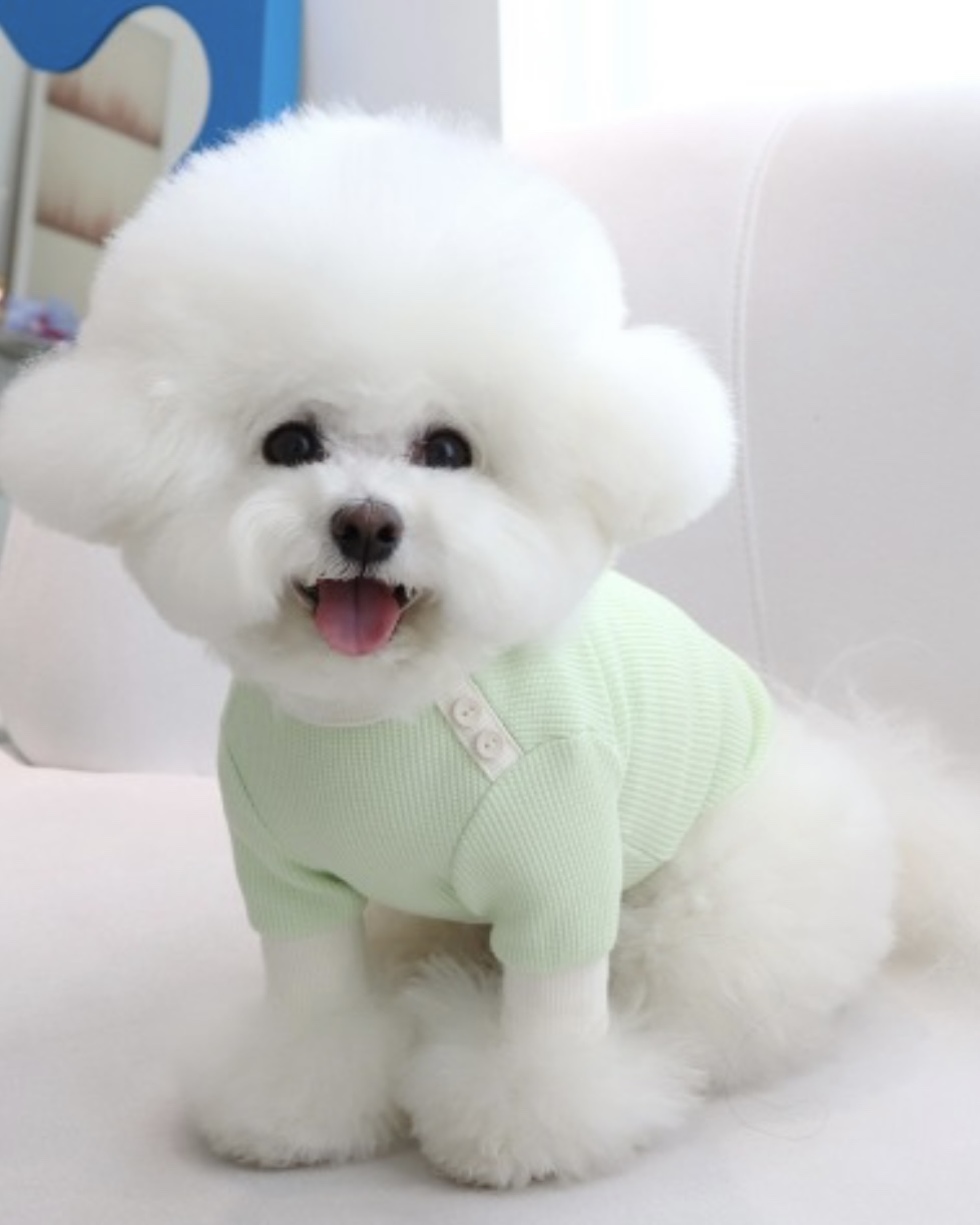 Sherbet Waffle T-Shirt (Milk Green)