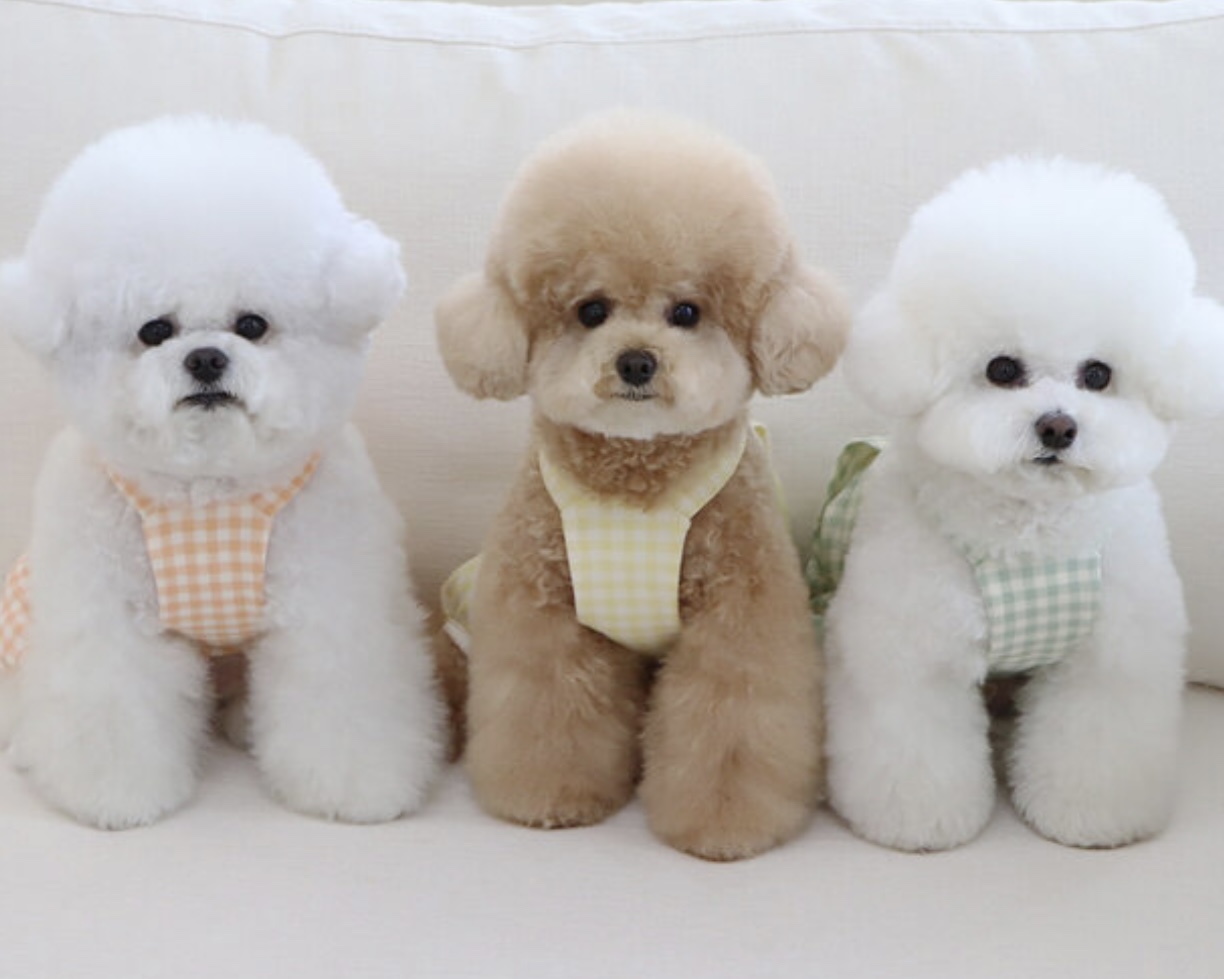 Chiot Together Check All in One Overall (Yellow)