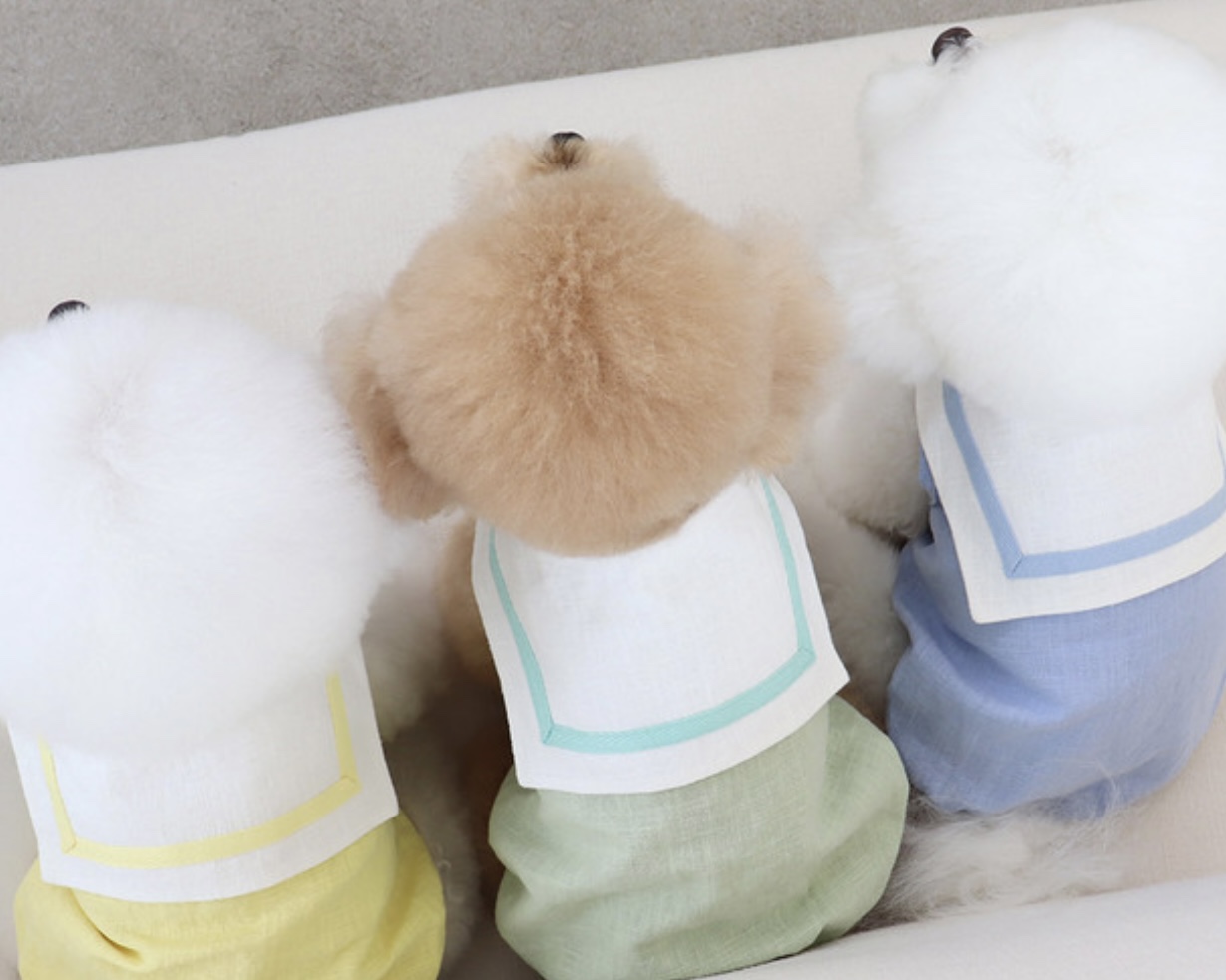 Pastel Linen Cape Top (Mint)