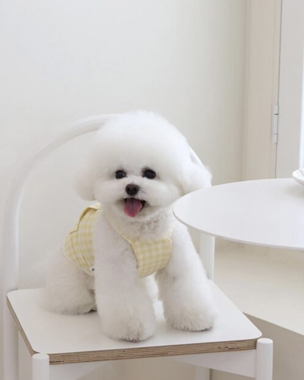 Chiot Together Check Crop Top Overall (Yellow)