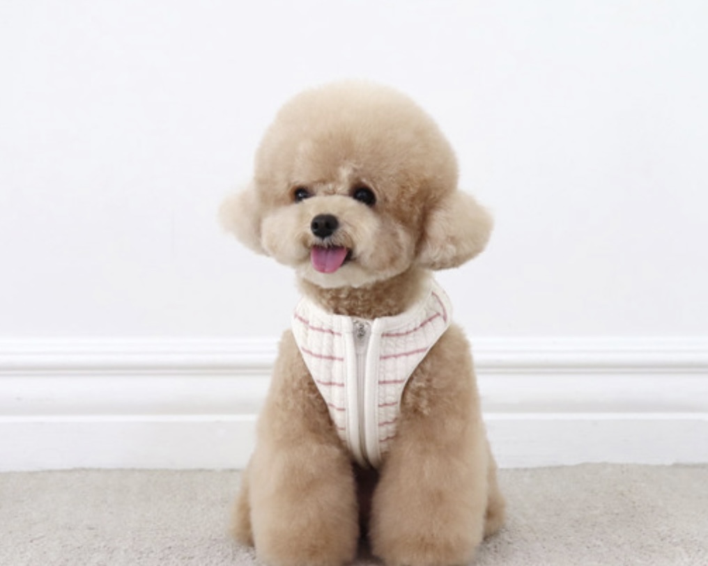 Chiot Bebe Cream Quilted Zip-Up Vest (Pink)