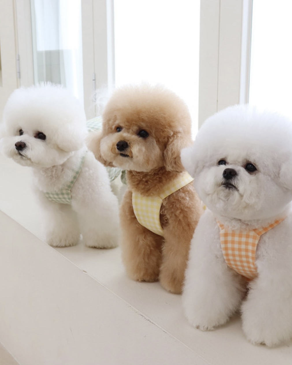 Chiot Together Check All in One Overall (Mint)