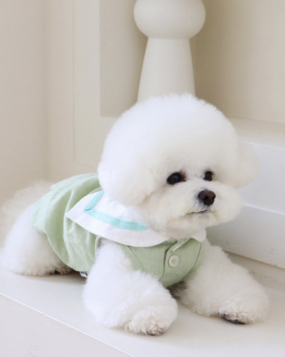 Pastel Linen Cape Top (Mint)