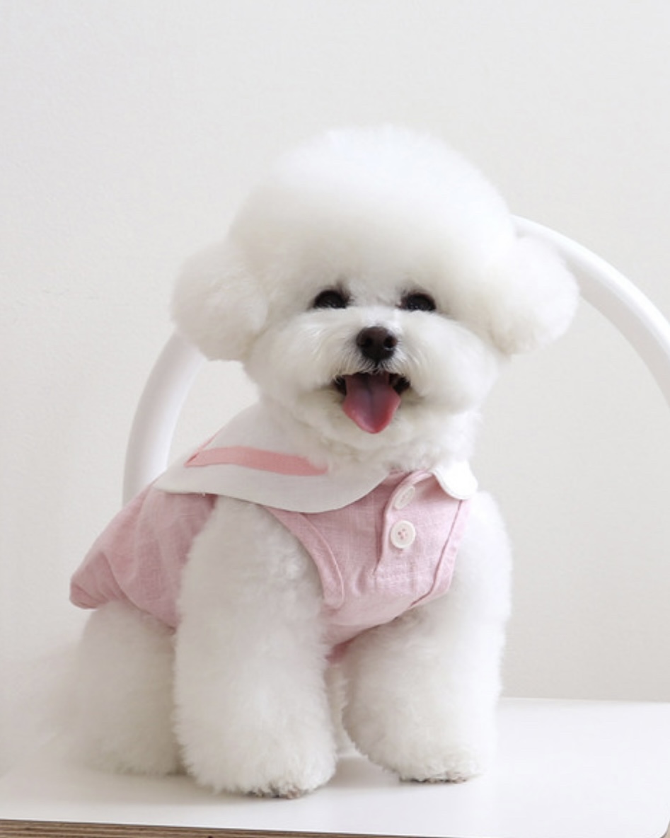 Pastel Linen Cape Top (Pink)