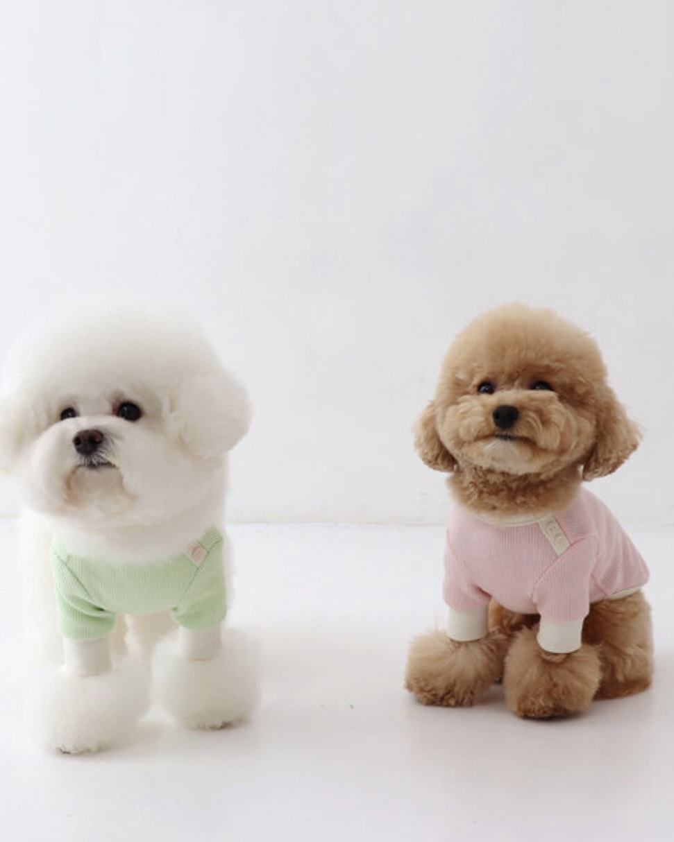 Sherbet Waffle T-Shirt (Milk Green)