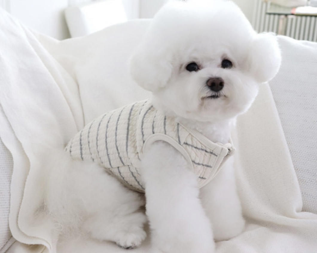 Chiot Bebe Cream Quilted Zip-Up Vest (Grey)