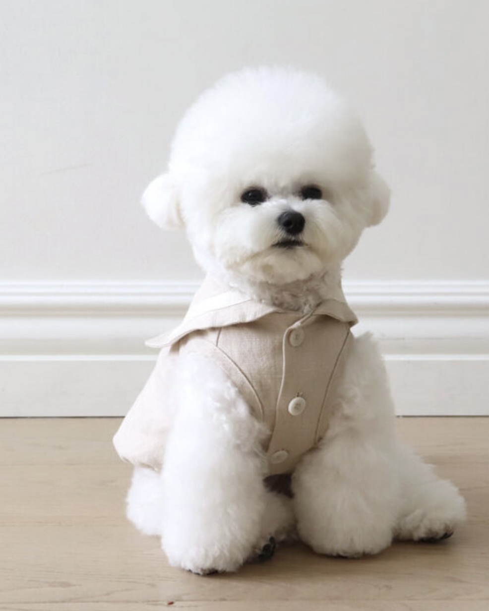 Pastel Linen Cape Top (Beige)