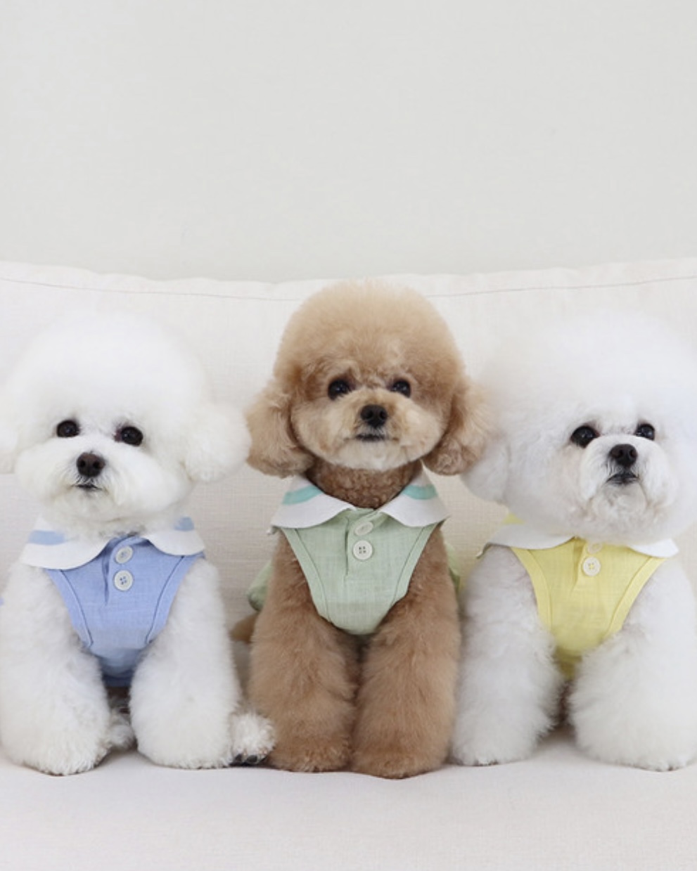 Pastel Linen Cape Top (Blue)