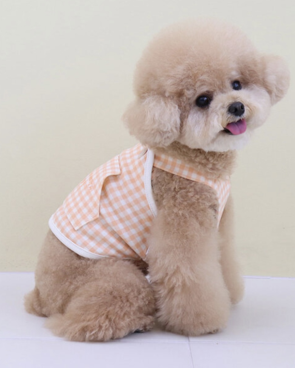 Together Check Crop Top Overall (Orange)