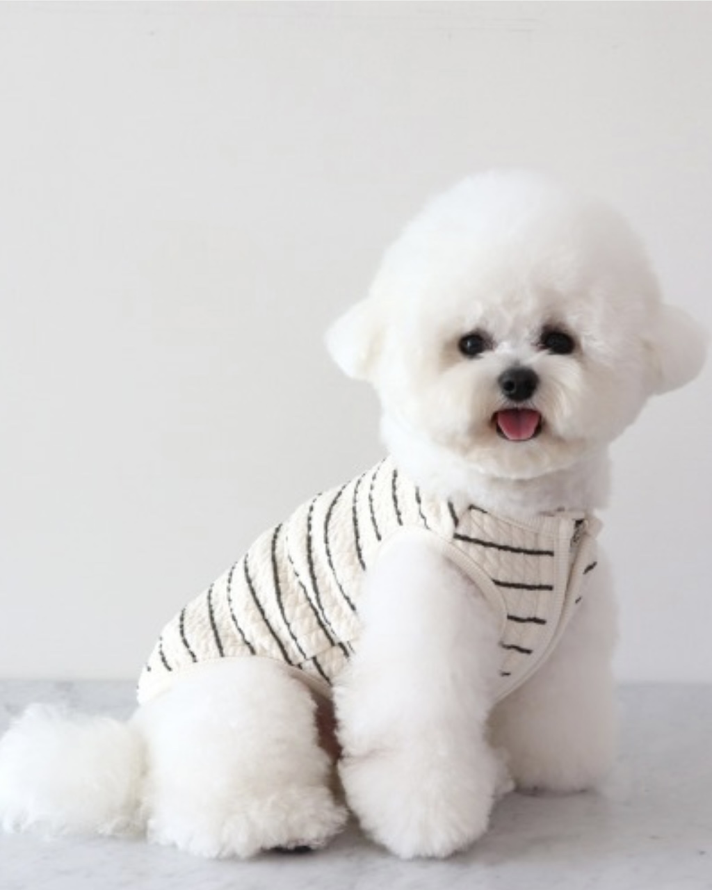 Chiot Bebe Cream Quilted Zip-Up Vest (Khaki)