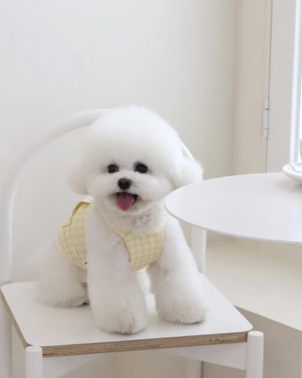 Together Check Crop Top Overall (Yellow)