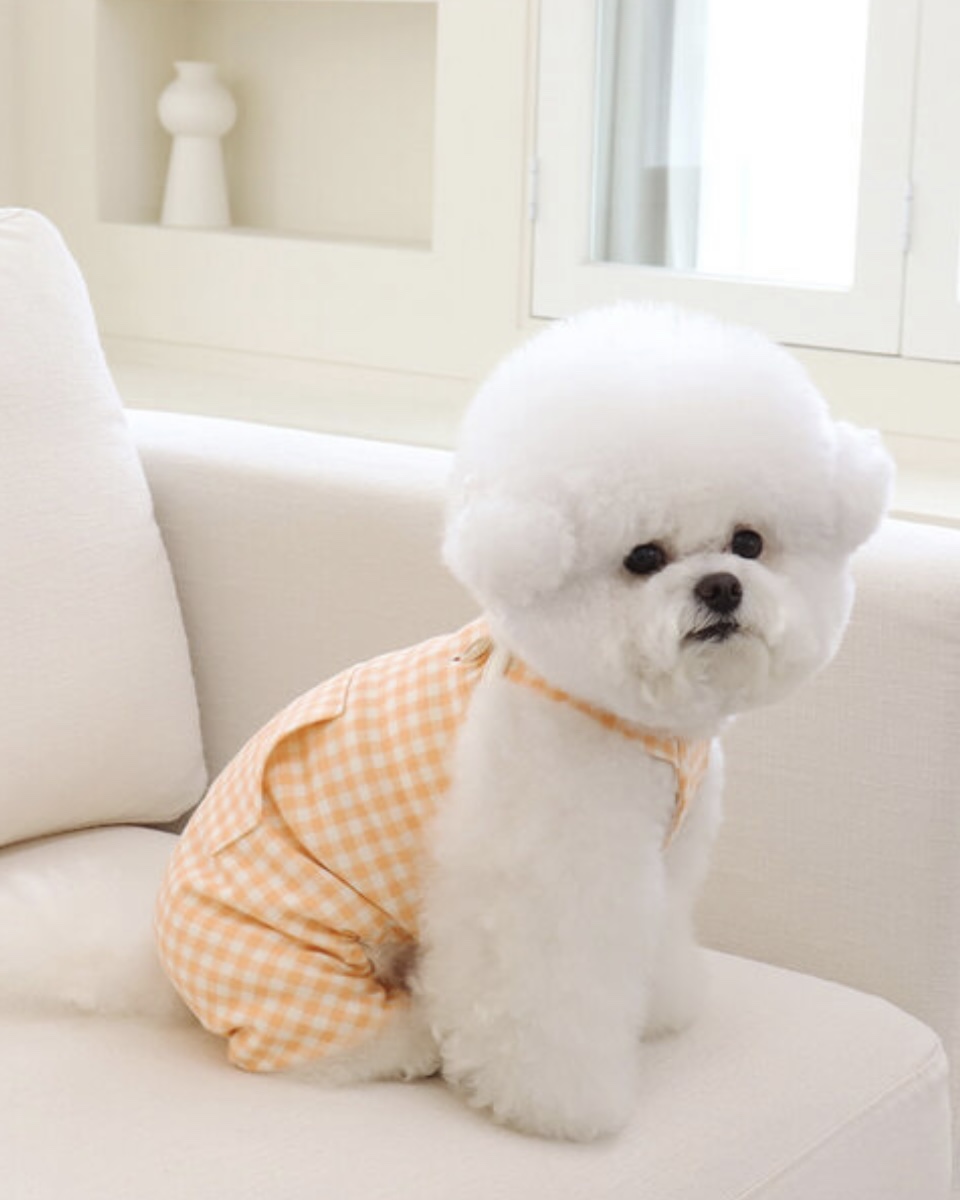 Chiot Together Check All in One Overall (Orange)