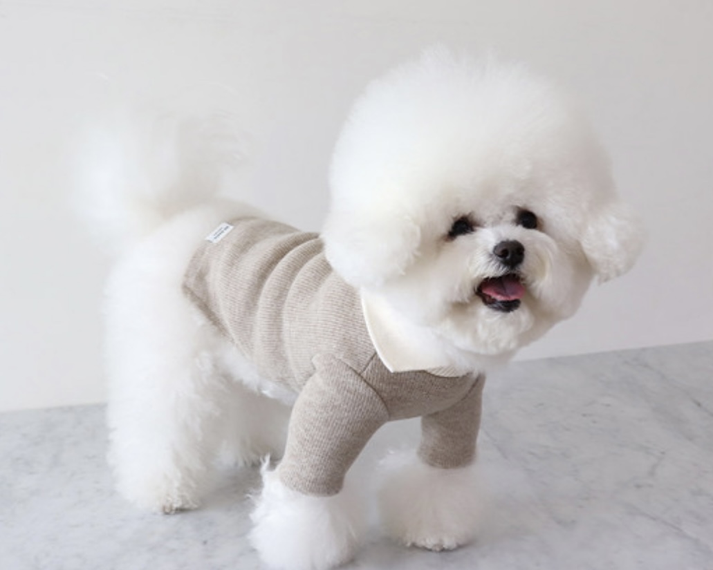 Chiot Blanc Knit Collar T-Shirt (Beige)