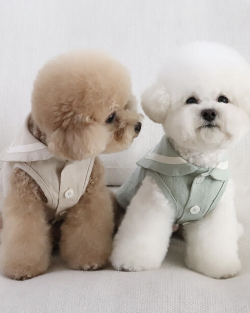 Pastel Linen Cape Top (Beige)