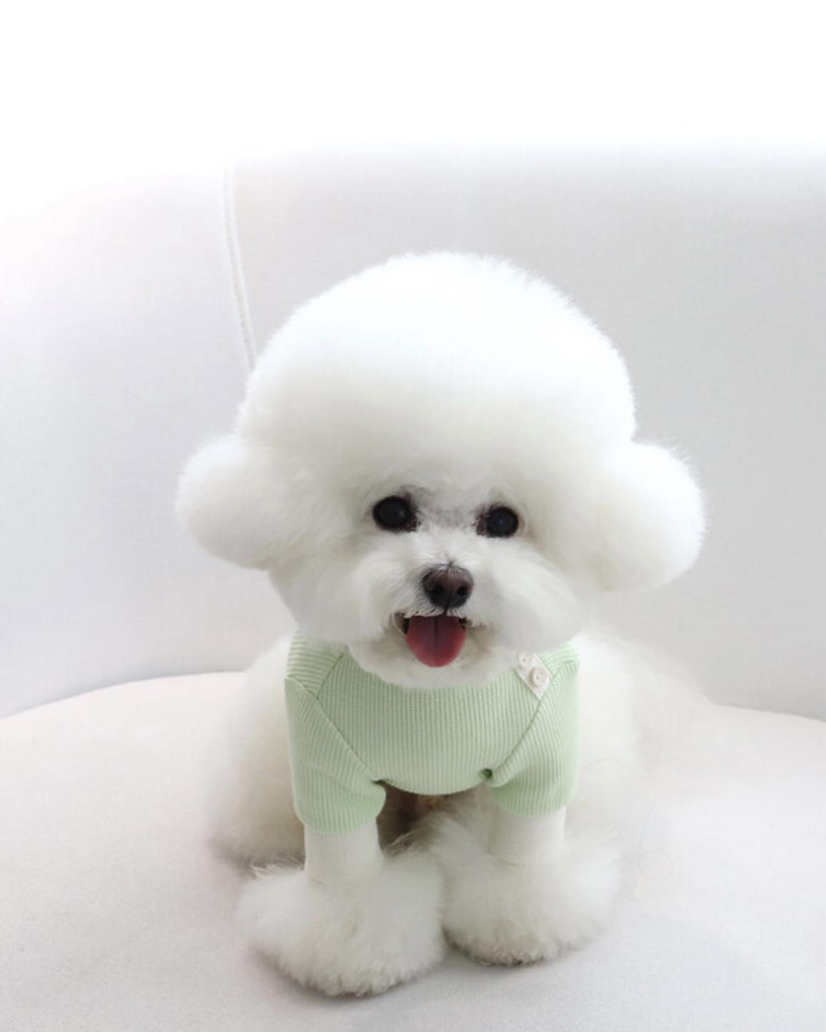 Sherbet Waffle T-Shirt (Milk Green)