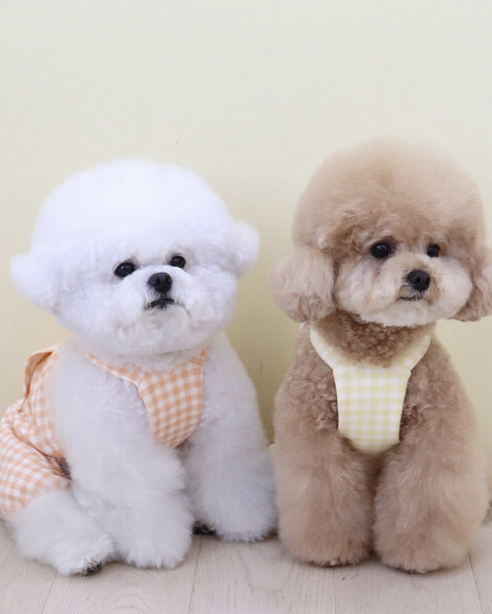 Chiot Together Check All in One Overall (Orange)