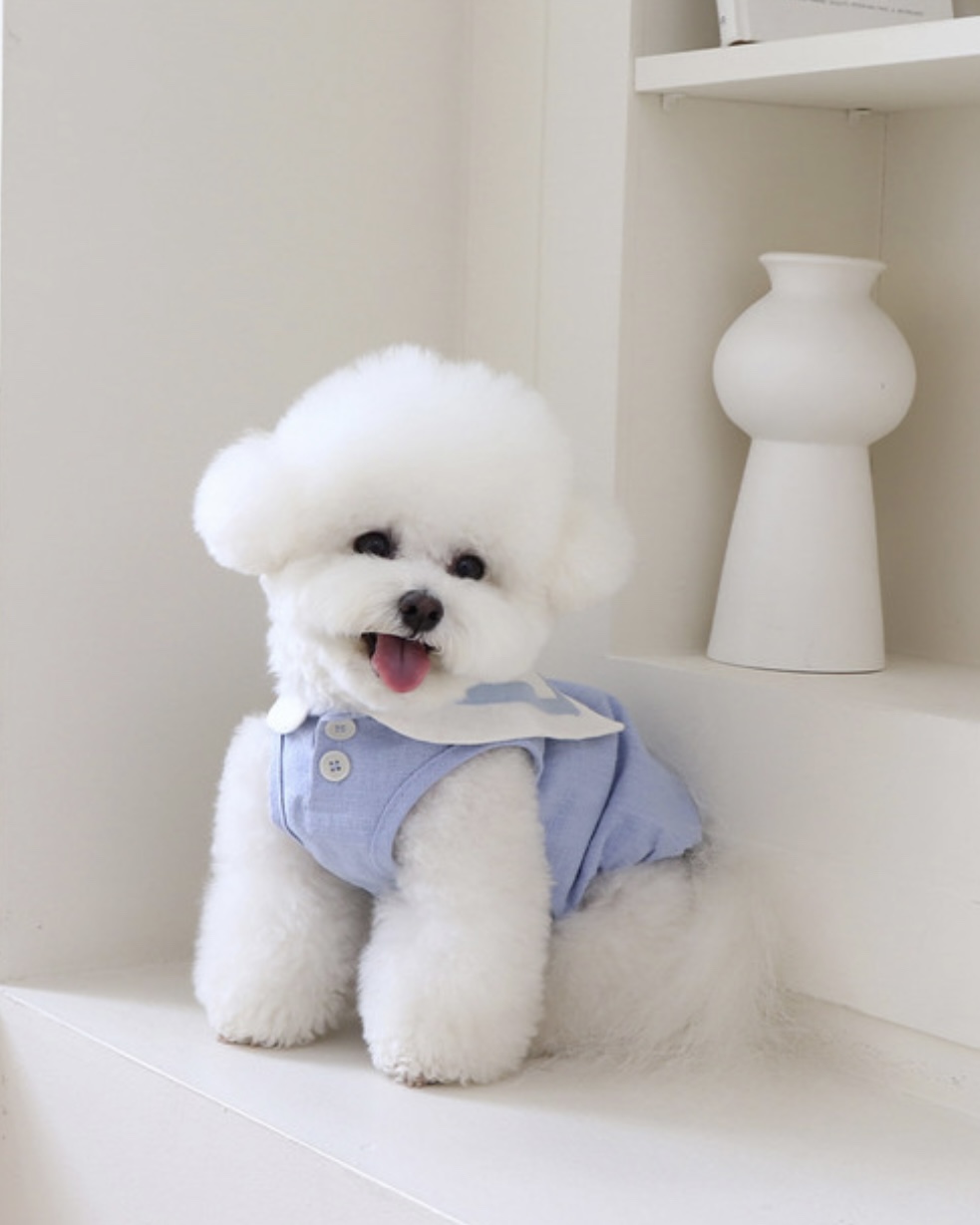 Pastel Linen Cape Top (Blue)