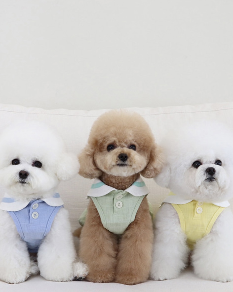 Pastel Linen Cape Top (Mint)