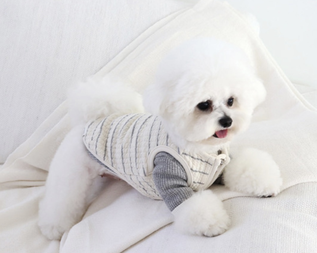 Chiot Bebe Cream Quilted Zip-Up Vest (Grey)