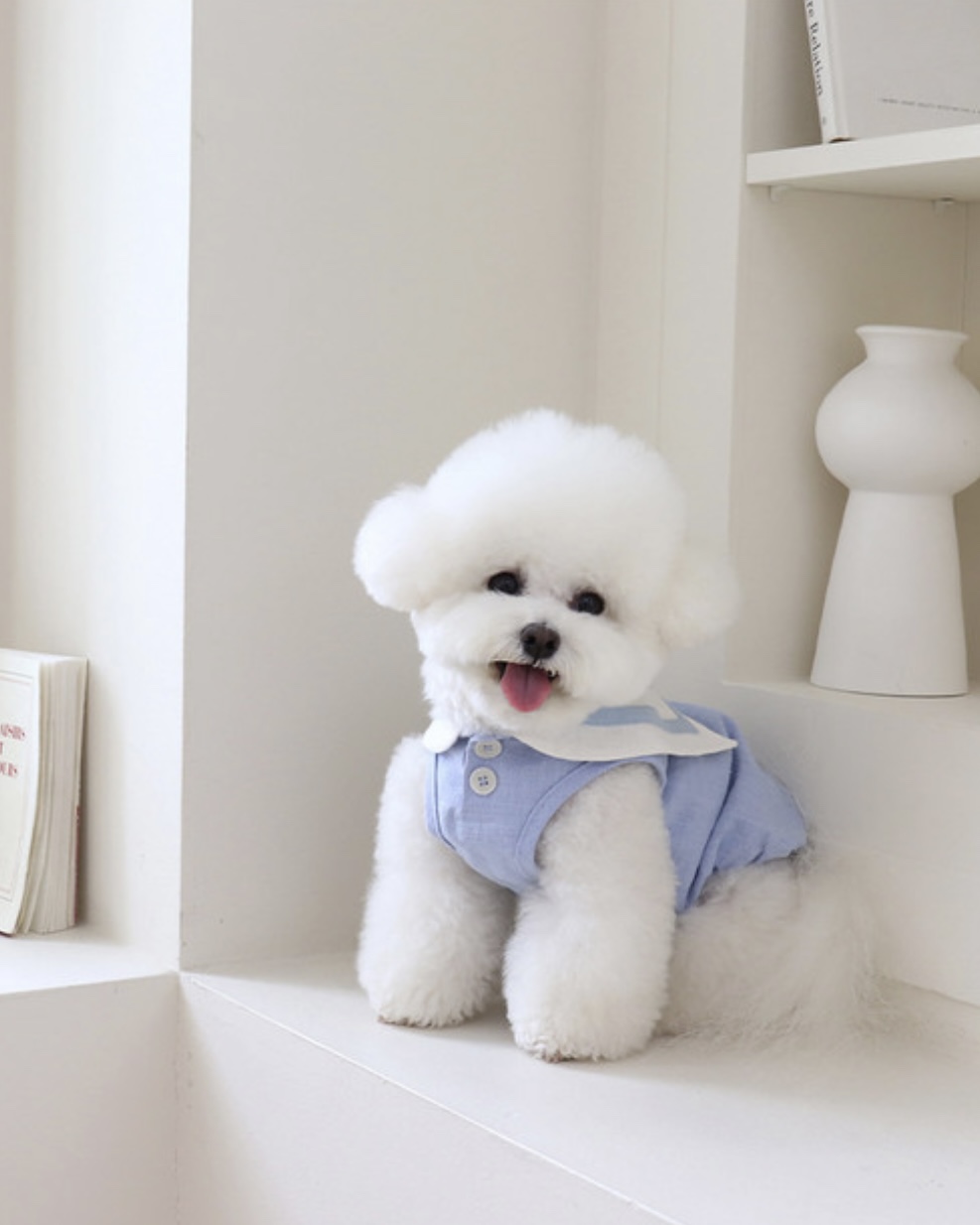 Pastel Linen Cape Top (Blue)