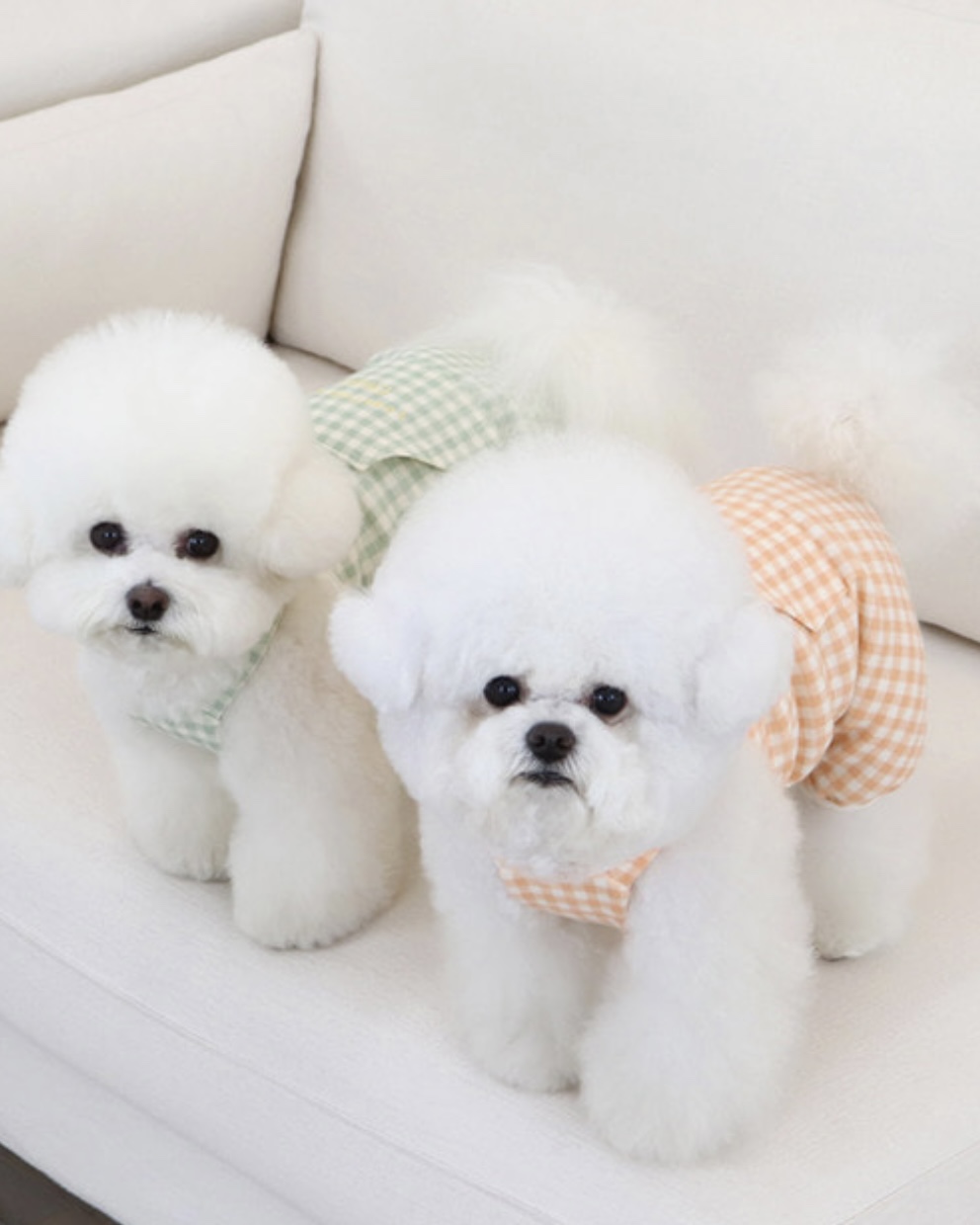 Chiot Together Check All in One Overall (Mint)