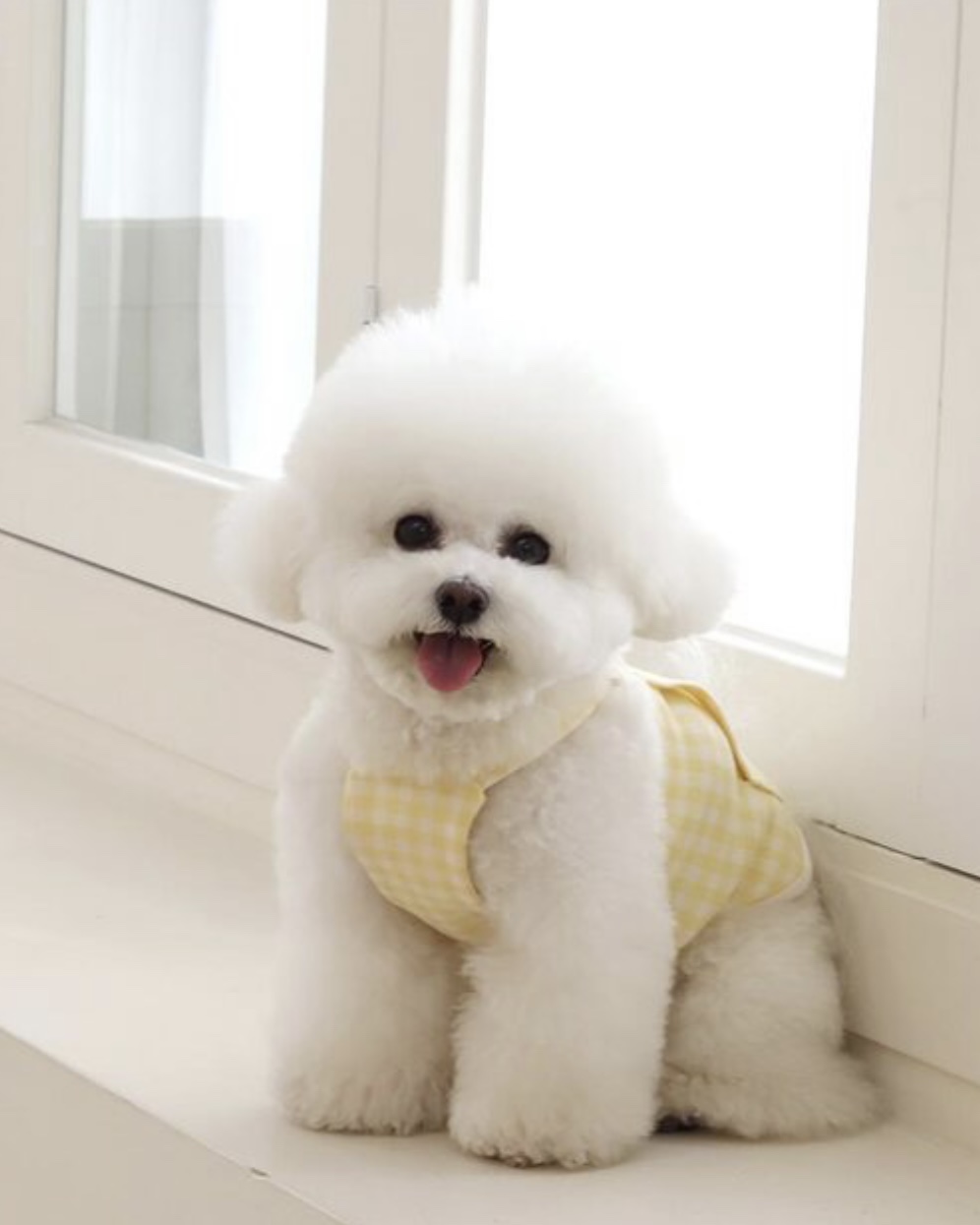 Chiot Together Check Crop Top Overall (Yellow)