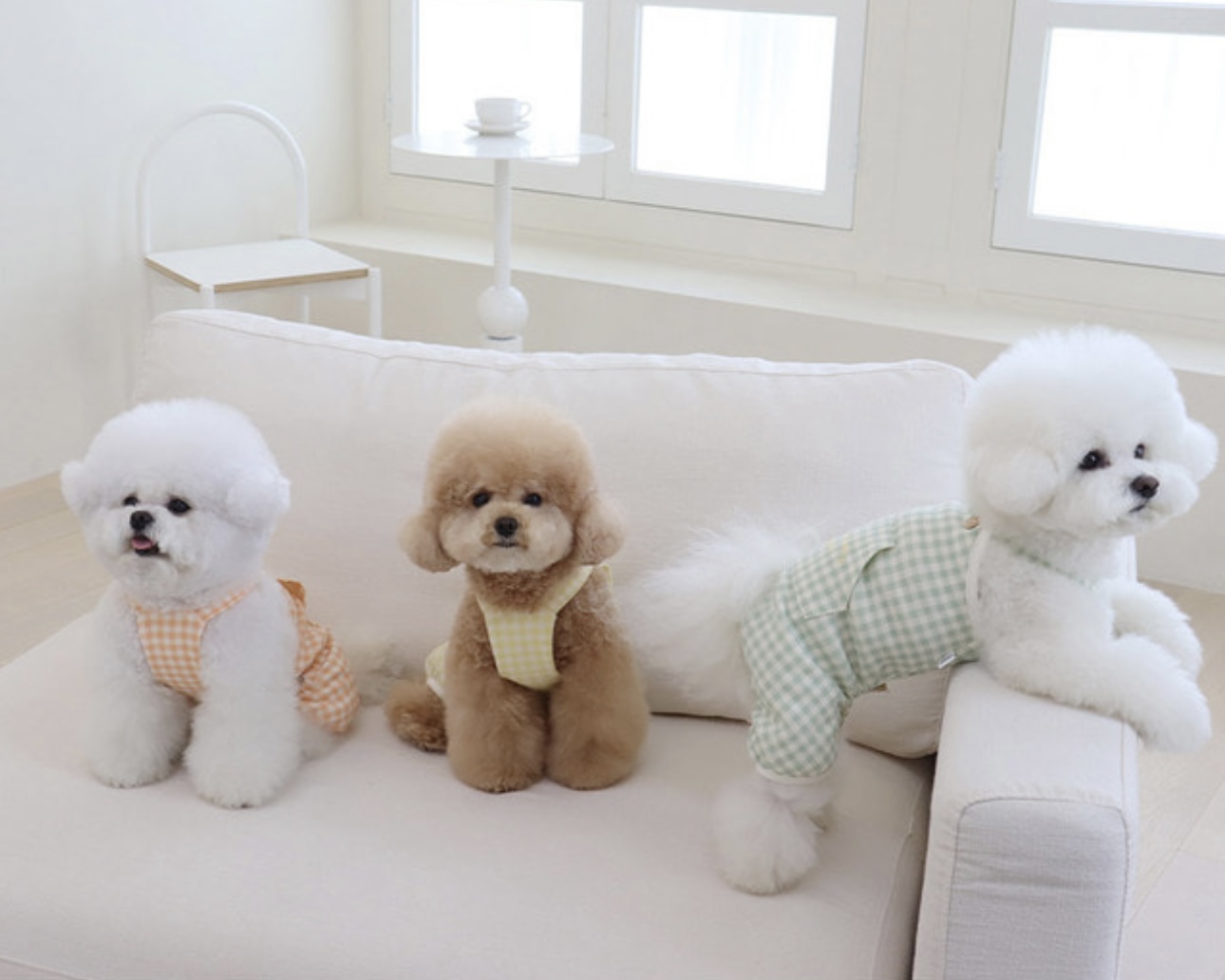 Chiot Together Check All in One Overall (Orange)