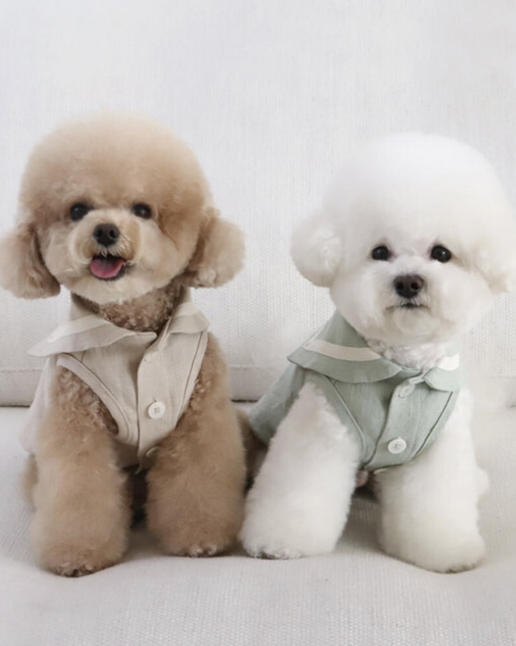 Pastel Linen Cape Top (Beige)