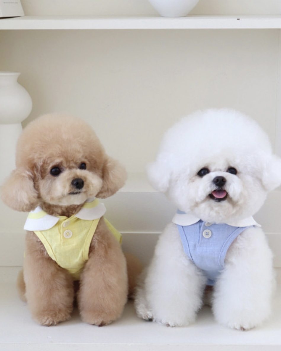 Pastel Linen Cape Top (Yellow)