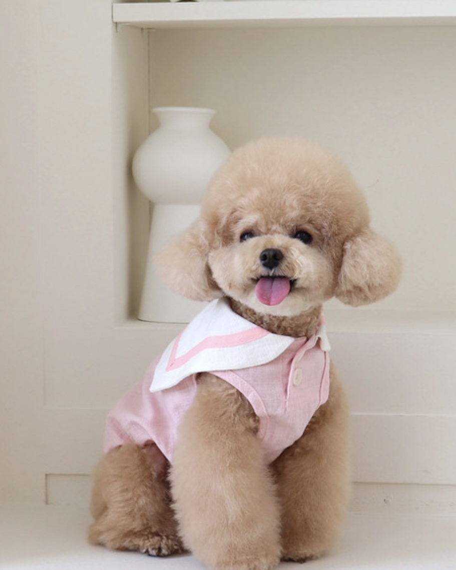 Pastel Linen Cape Top (Pink)