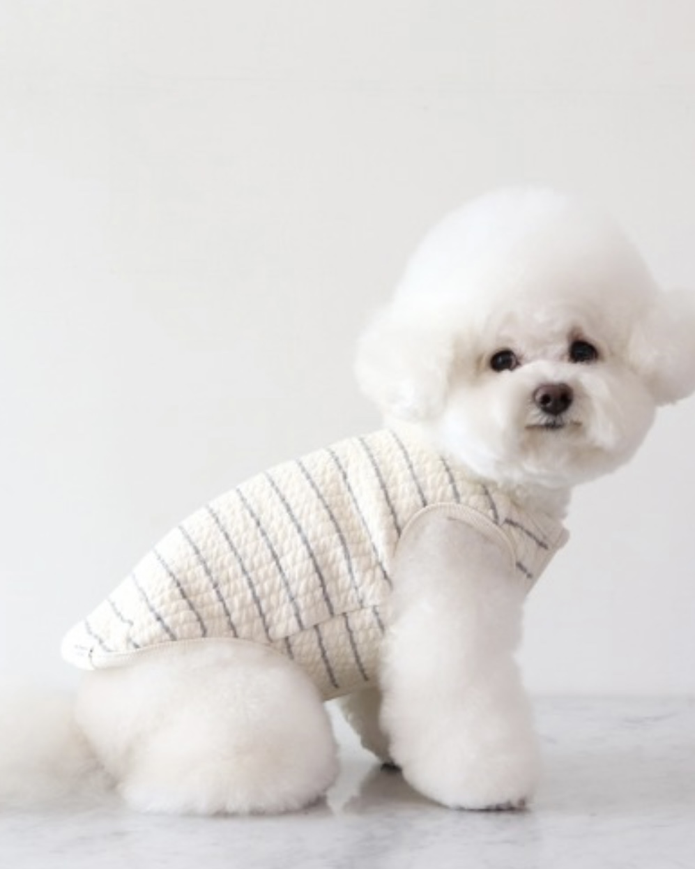 Chiot Bebe Cream Quilted Zip-Up Vest (Grey)