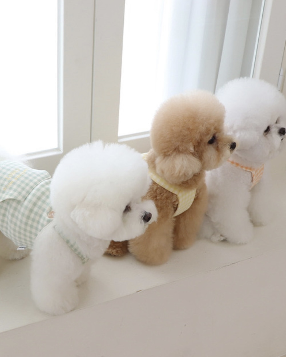 Chiot Together Check All in One Overall (Yellow)