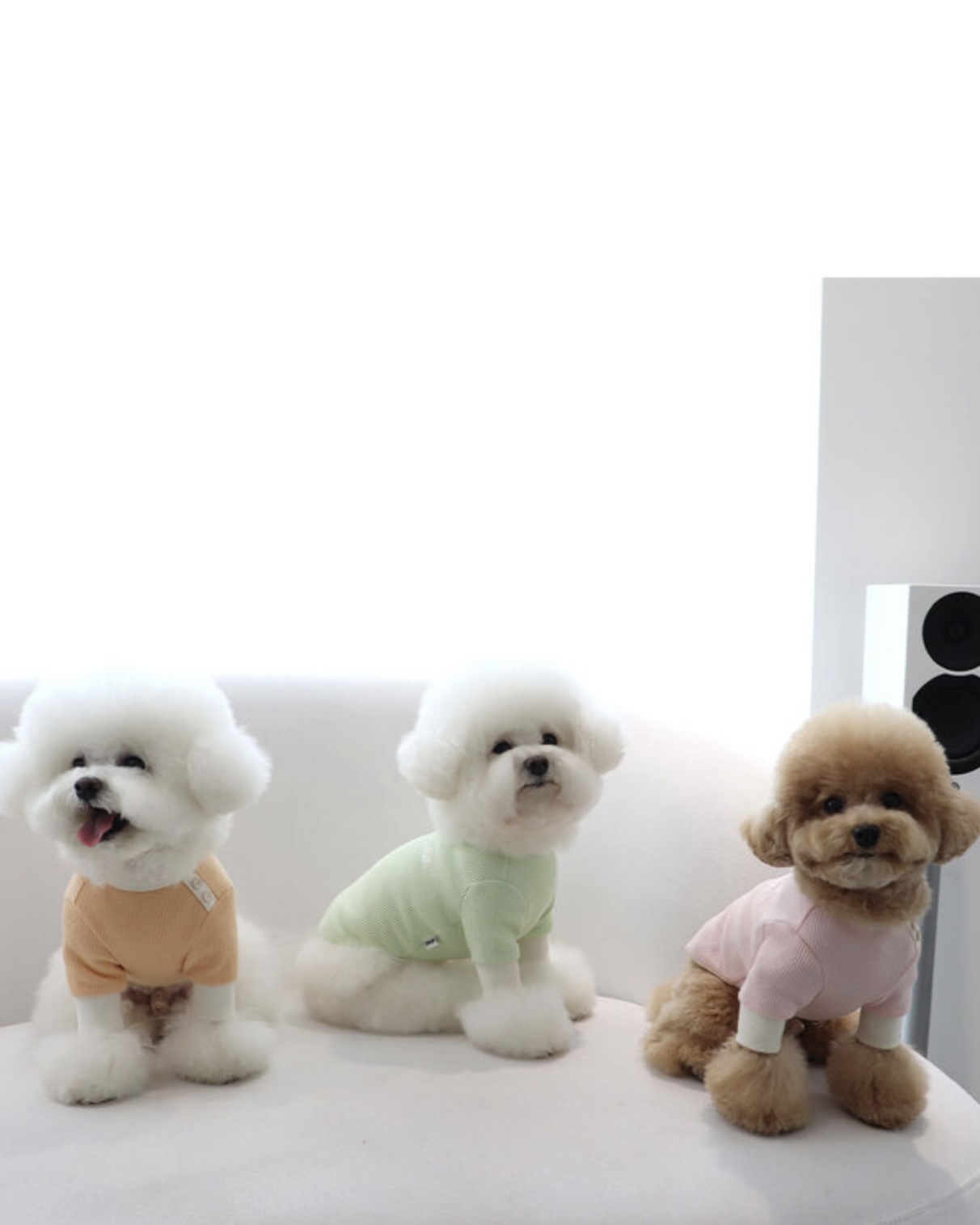 Sherbet Waffle T-Shirt (Orange)