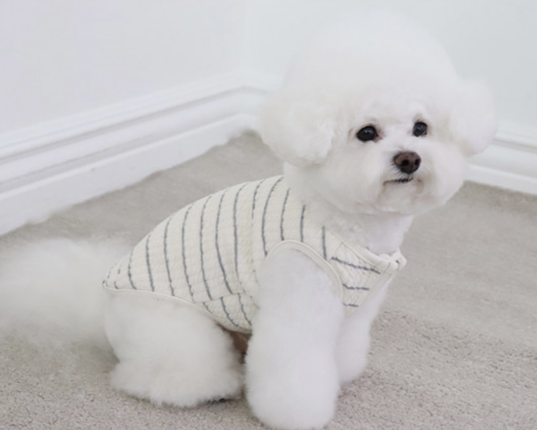 Chiot Bebe Cream Quilted Zip-Up Vest (Grey)